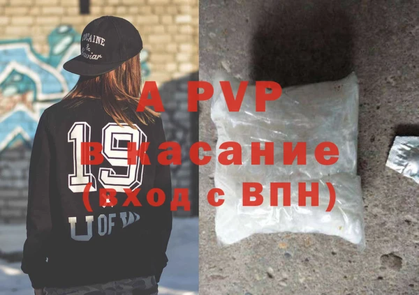 ECSTASY Белокуриха