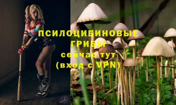 ECSTASY Белокуриха