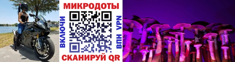 цена   Кореновск  Псилоцибиновые грибы мицелий 